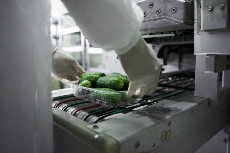 Machine d'emballage, industrie agroalimentaire