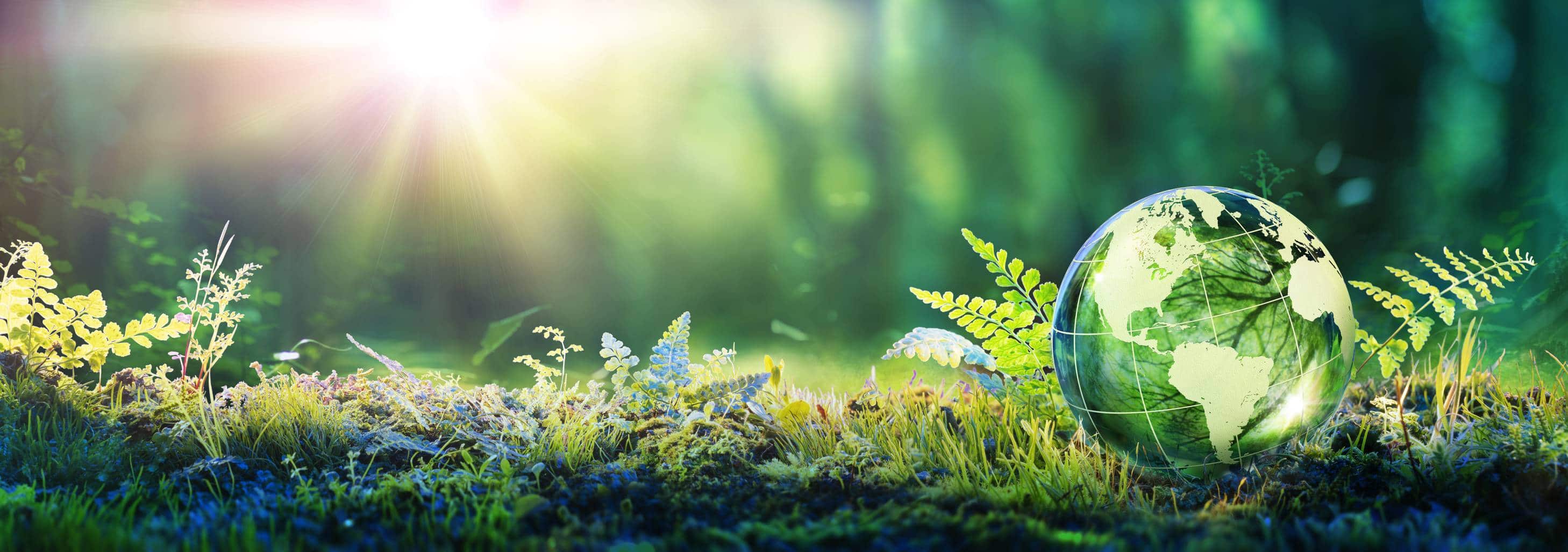 Protection environnement