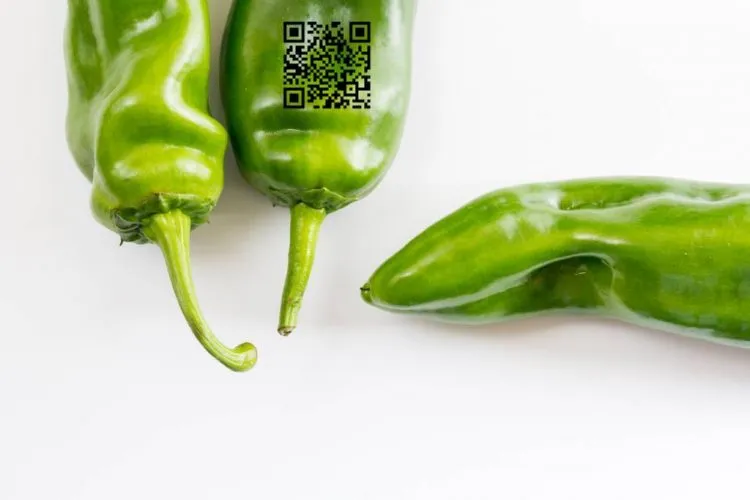 Technologie de traçabilité des aliments