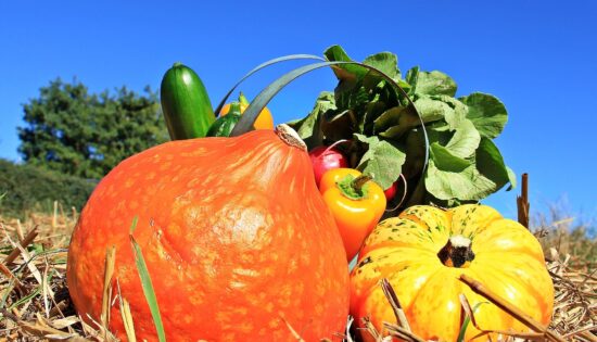 Agrilocal