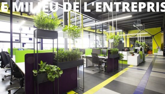 bureau entreprise