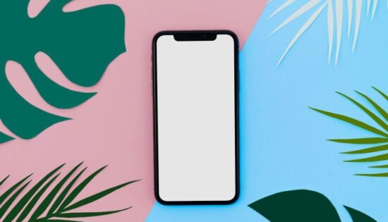 Focus_sur_les_MVNO
