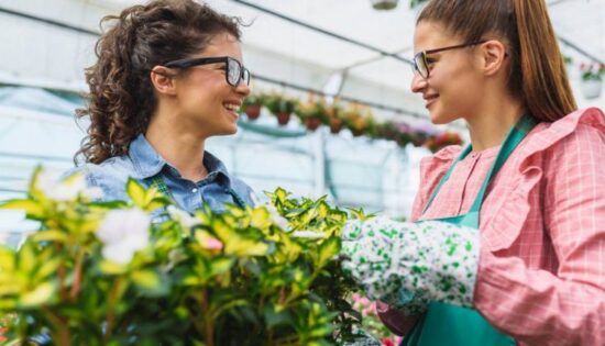 media-diversifier-jardinerie.jpg
