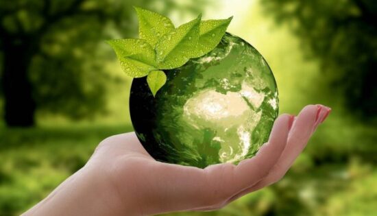 ecoresponsabilite-des-entreprises-prenez-des-mesures.jpg