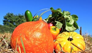 Agrilocal