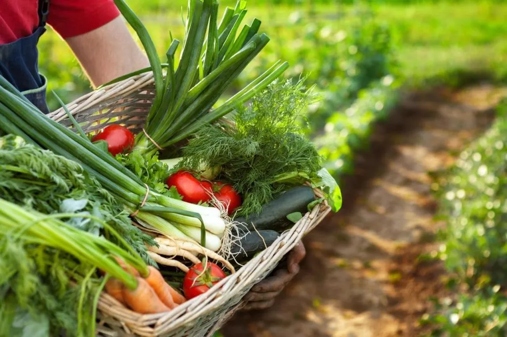 légumes