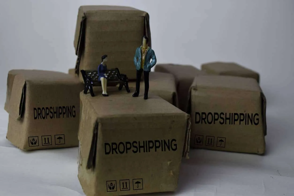 formation en dropshipping