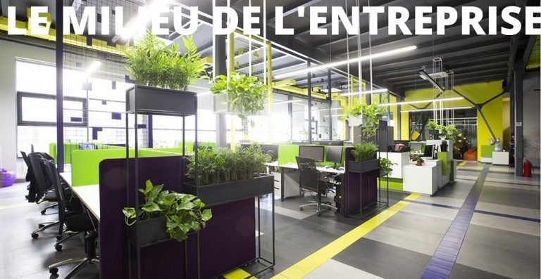 bureau entreprise