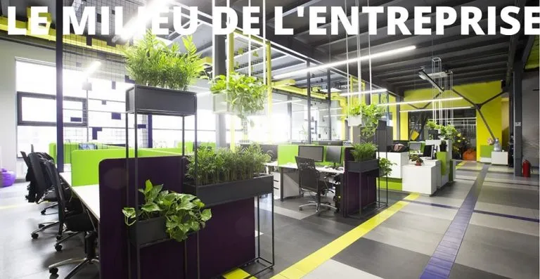 bureau entreprise