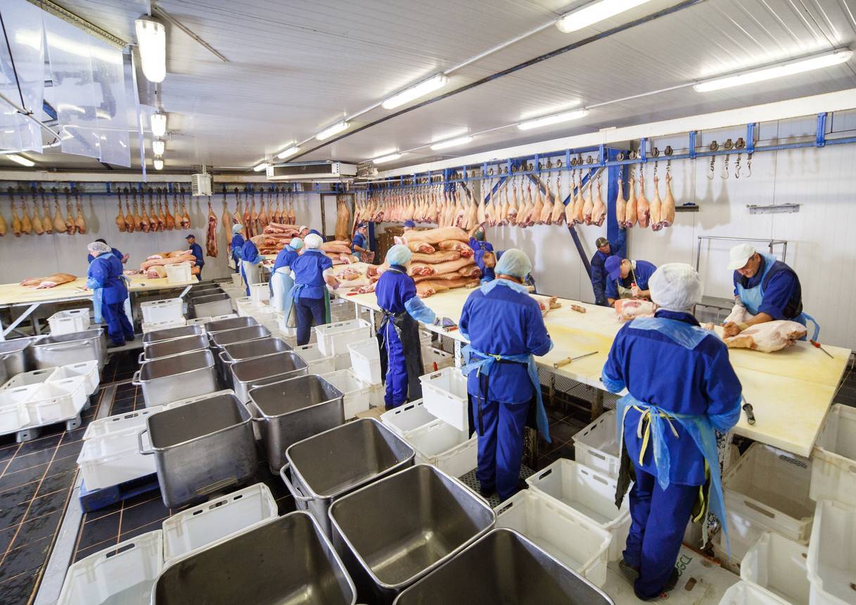 séparation industrielle viande
