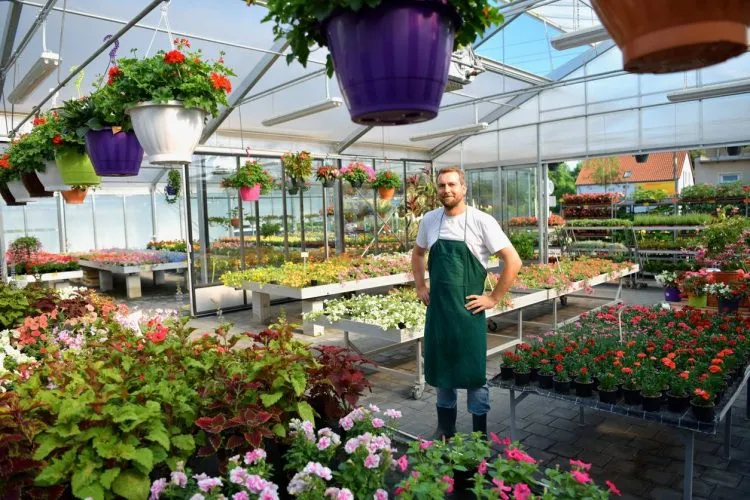 jardinerie, plantes, outillage