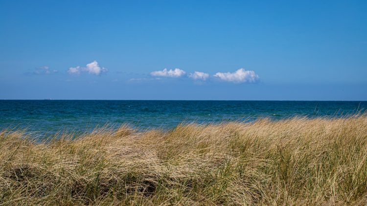 loi Girardin Industriel