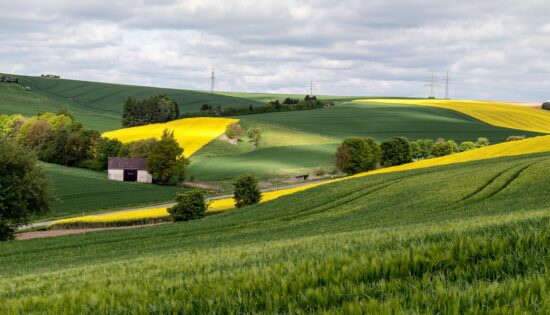 Acheter_des_parts_de_GFA_:_faut_il_investir_dans_des_terres_agricoles_?