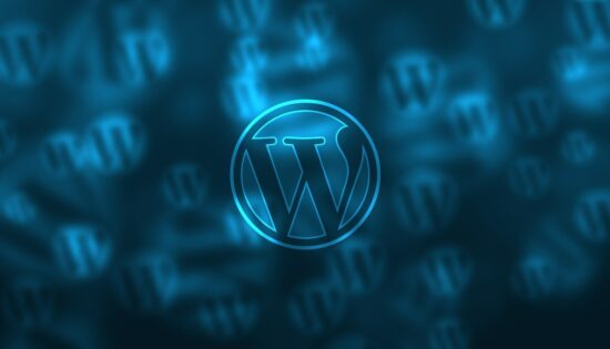 Tout_ce_que_vous_devez_savoir_sur_WordPress_et_comment_il_gagne_de_l_argent