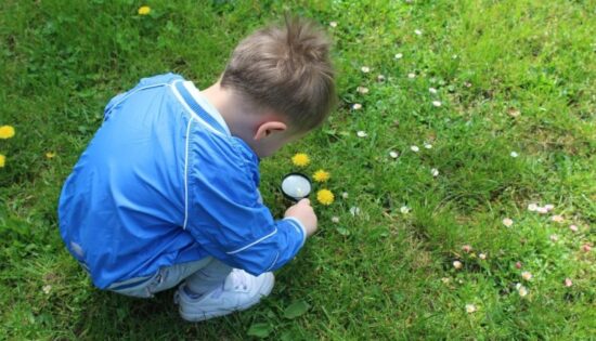 La_curiosité_est_un_vilain_défaut…_Pourquoi_je_suis_contre_ce_dicton